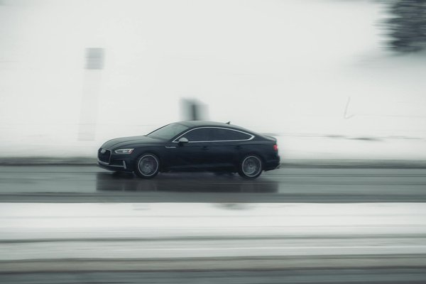 Rottweiler und stress: wichtige anzeichen, die sie niemals übersehen sollten!